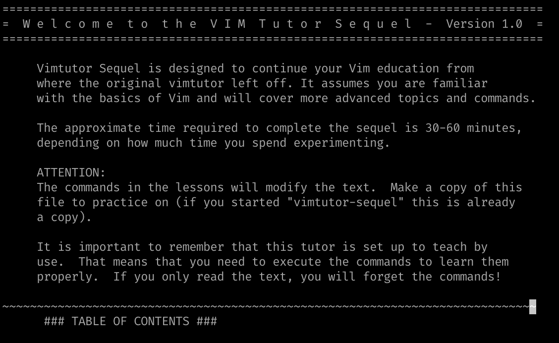 Screen shot of the vimtutor-sequel v1.0 program on launch.